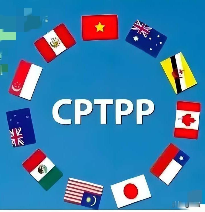 韩国已经“基本决定”加入CPTPP，预计6月下旬开内阁会议正式宣布，日本表示支持