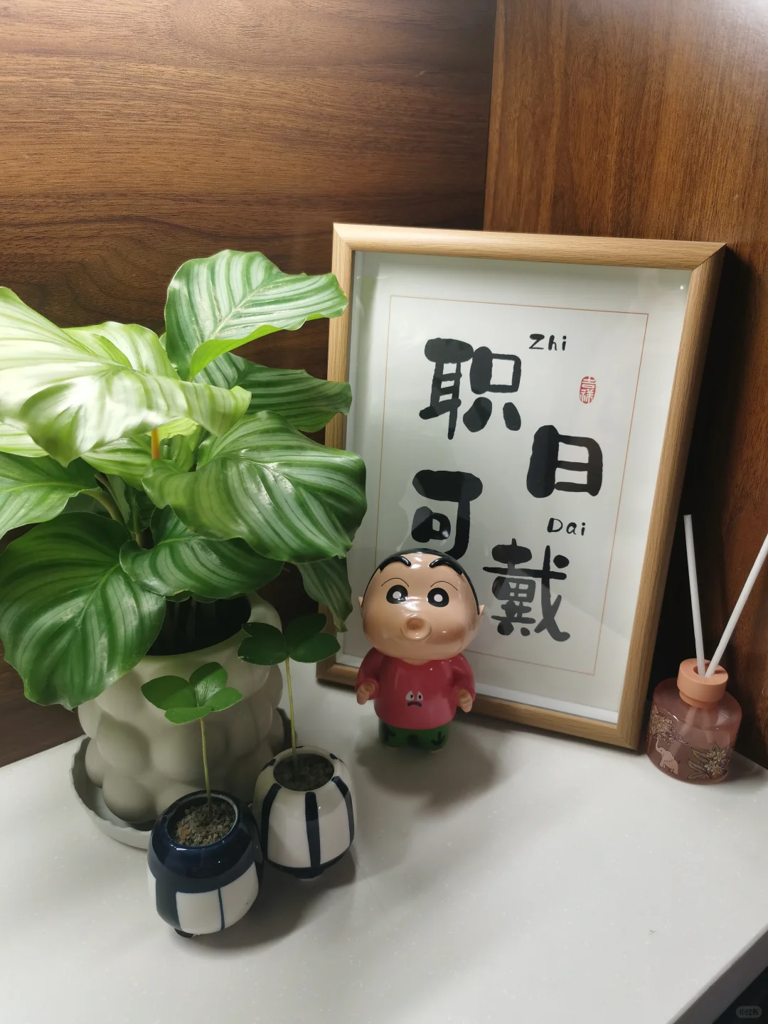 青苹果竹芋💌油画婚礼💌龙鳞春