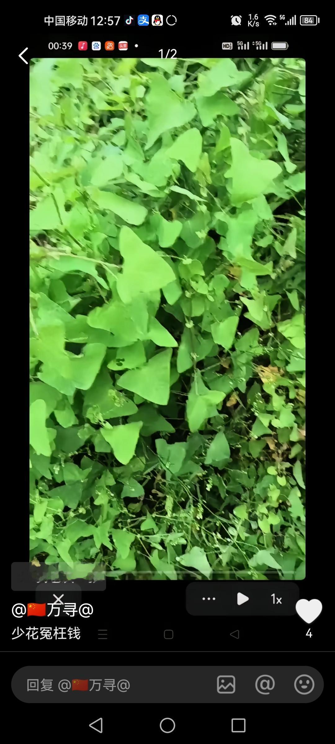 分享一张工地照片