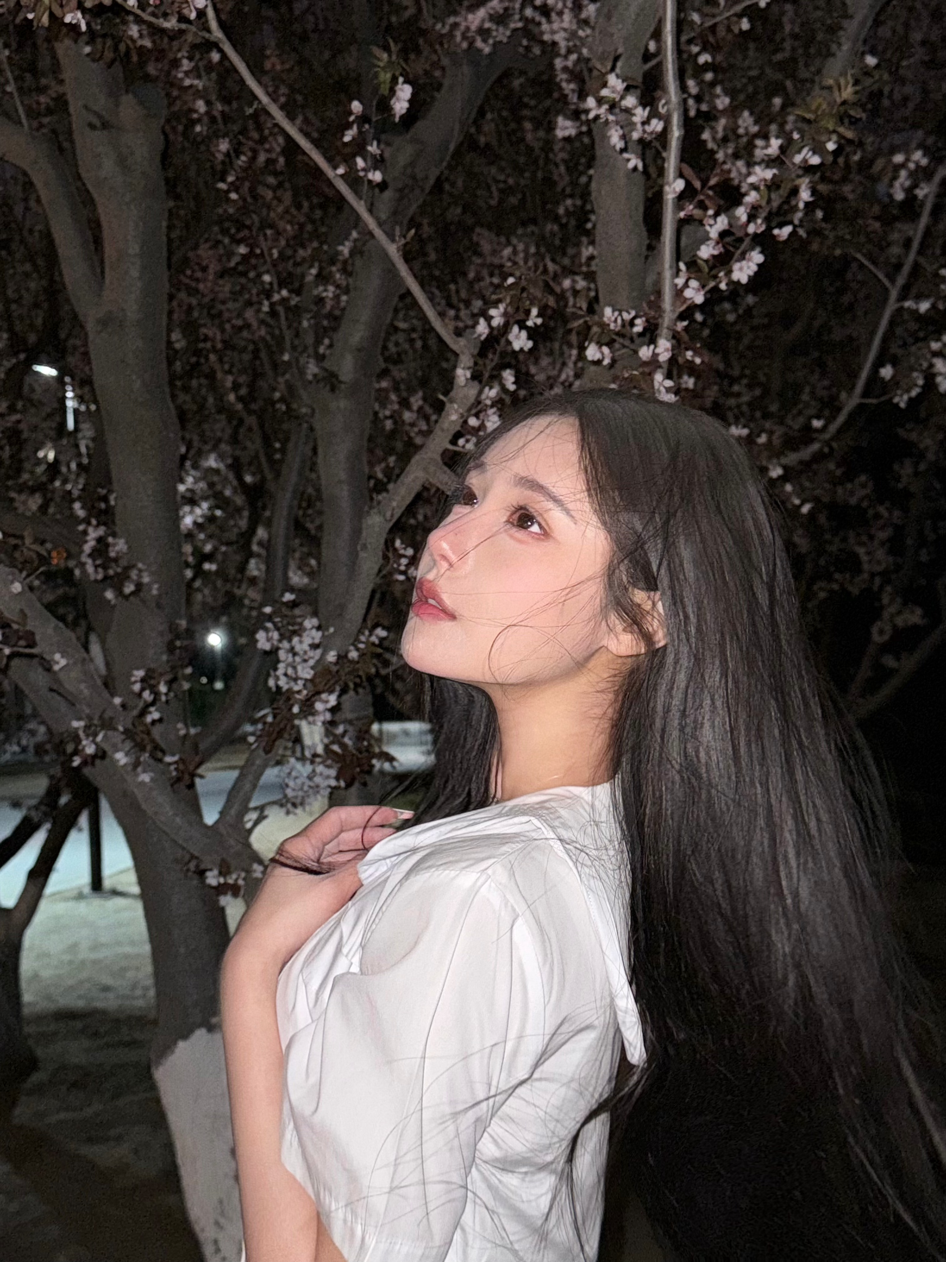 “我的生命 是一万次的春和景明”🌸吕雪[超话] ​​​