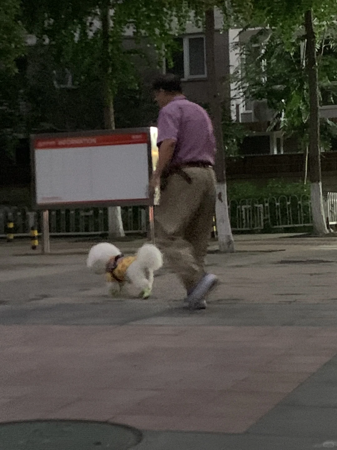 亲生的 传下去咪子是爸爸亲生的😳