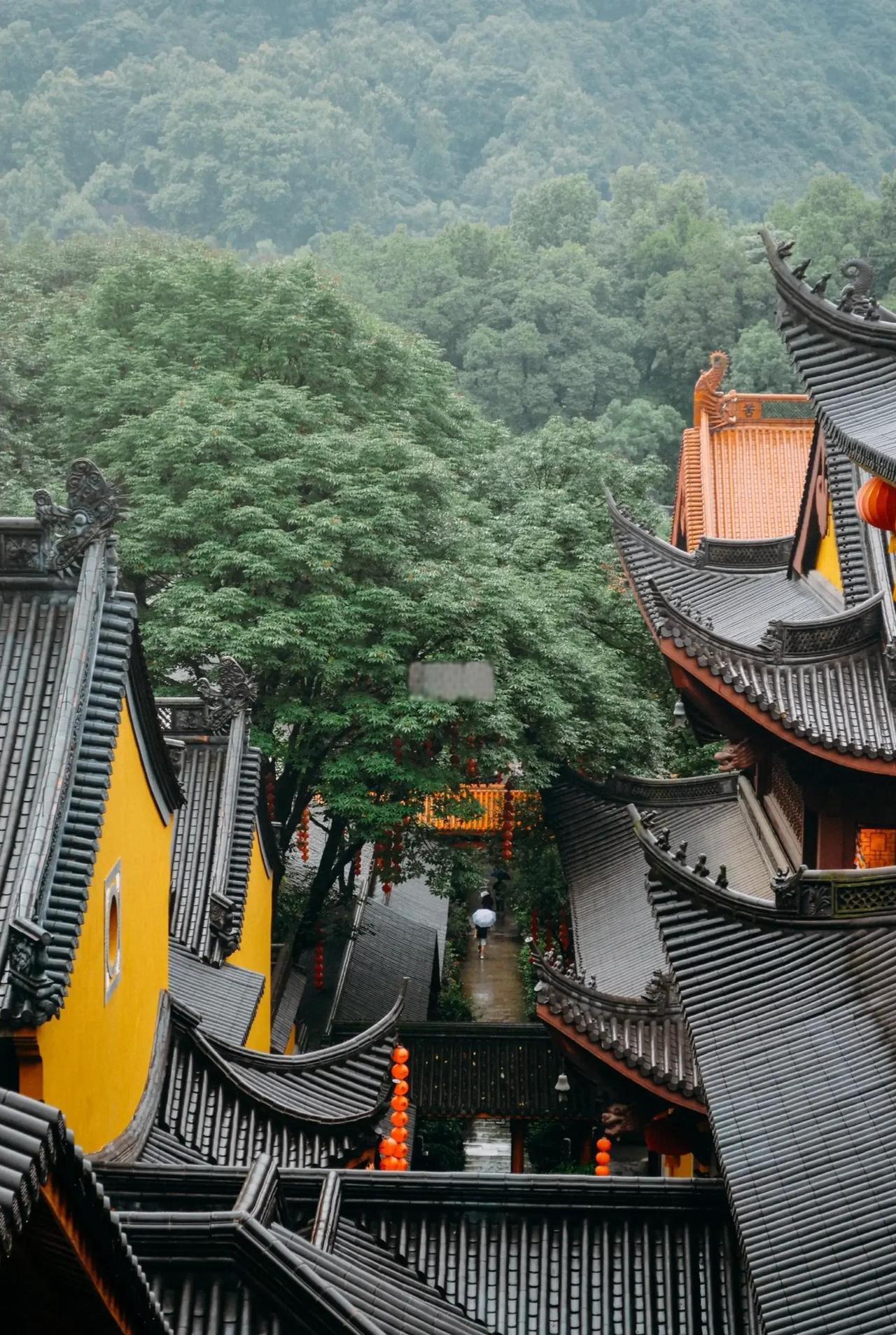 这个世界就是个巨大的精神病院，
一事无成的男女睡了一觉，
之后就能成为伟大的父母
