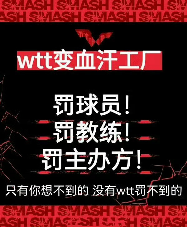 WTT退赛新规 我都懒得说你了 