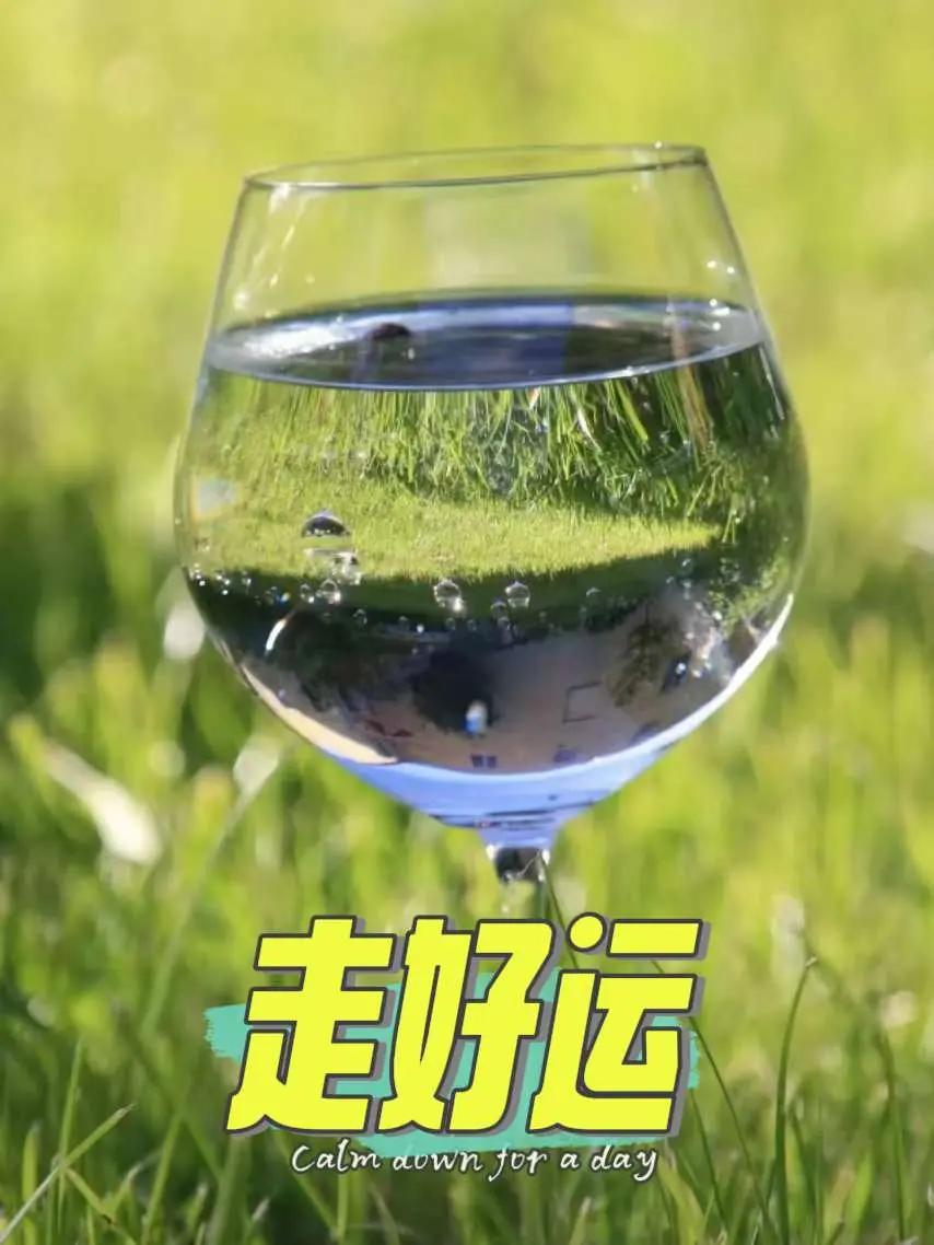 走好运。神奇动物近距离接触 动物也有才 动物科普亲子时光 图文热点来了