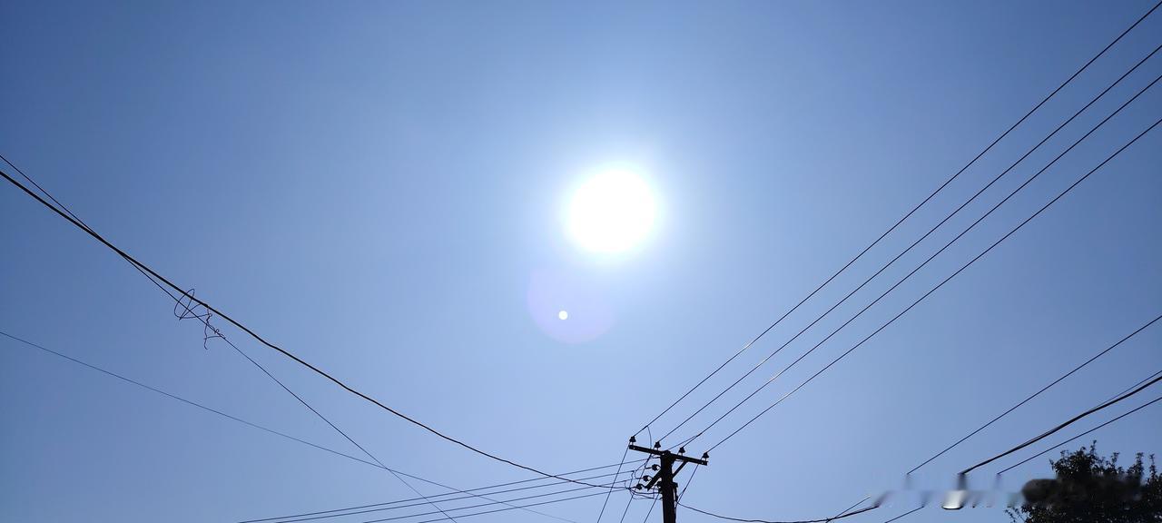 今年冬天的不同冬日的中午阳光，温暖如夏，蔚蓝的天空一片清纯。舒服！