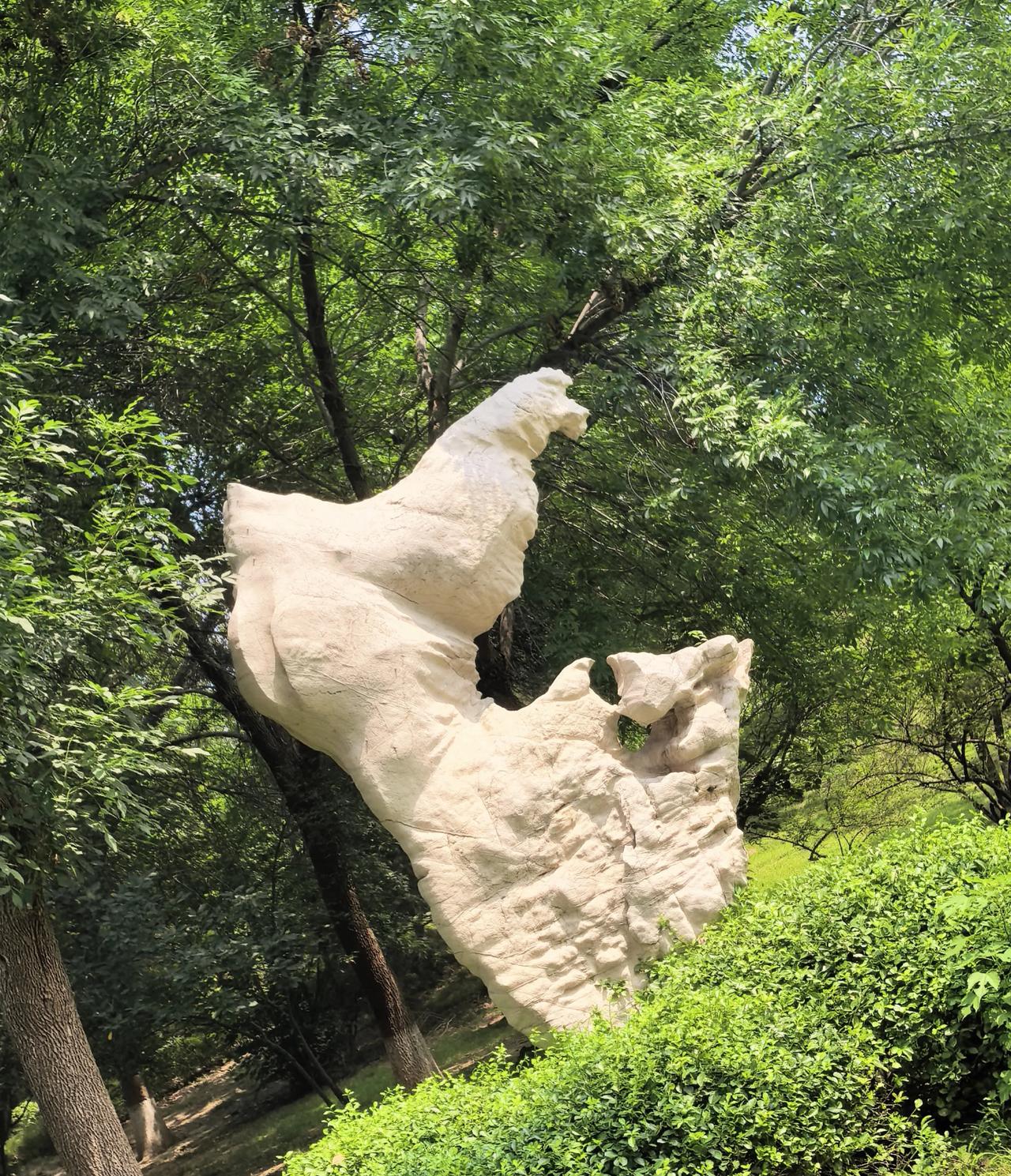 赏石有你（2）
请给这奇石取个名字吧一一
1，金鸡报晓
2，
3，