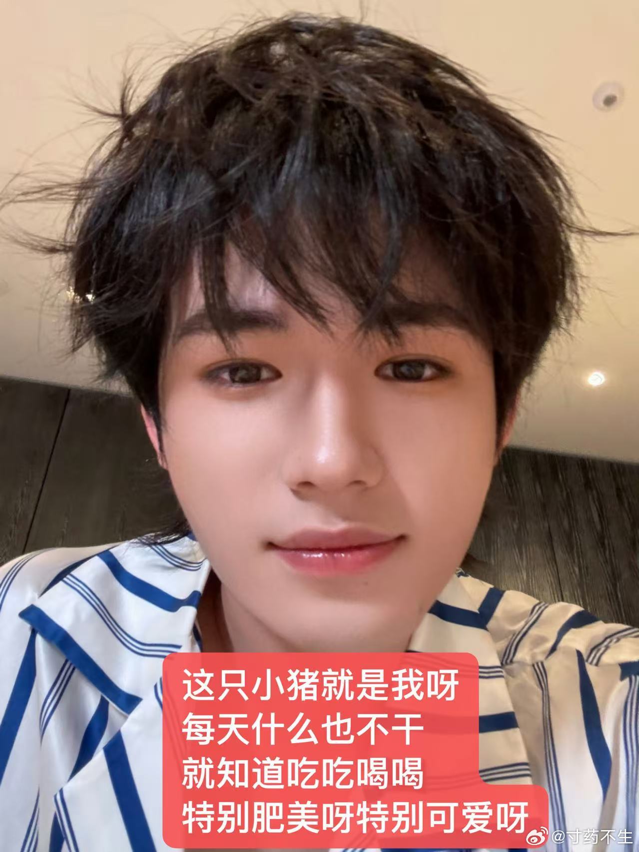 这只小猪就是我呀每天什么也不干就知道吃吃喝喝然后特别肥美呀特别可爱呀 