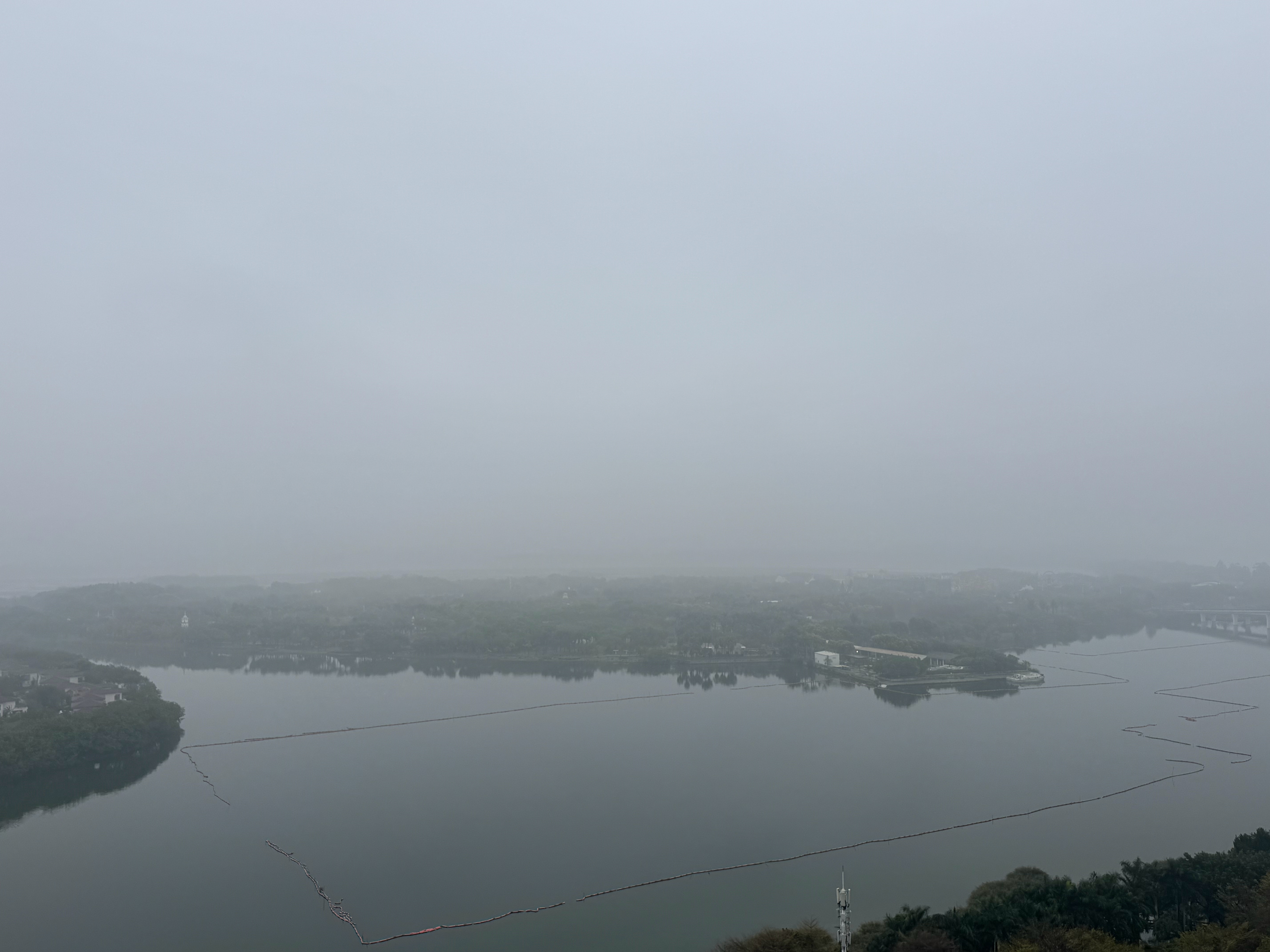 朋友们早上好，下雨这么久的雨发霉了没。 