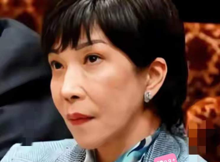 8月7日，日本内阁正式发布第254号政令，明确从8月8日起对原产于中国和韩国的热