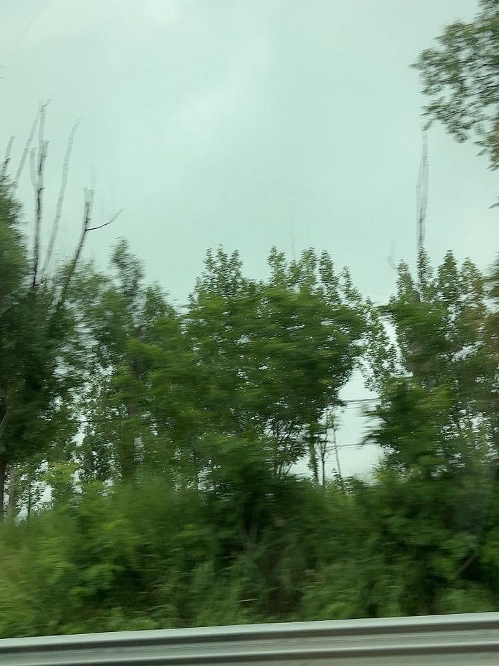 今天预报的有雨，从南到北，天气有阴的，有晴的，有多云的，还有下雨的。这一天尝遍了
