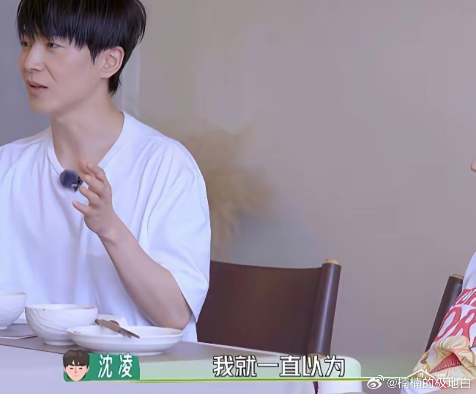 沈凌说“有一次一个朋友过生日，去了他的生日局上，就看到了有一位著名的男演员。我是
