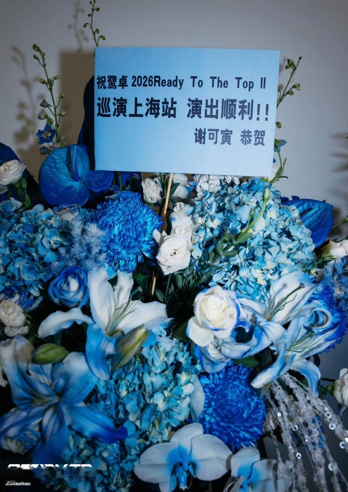漂亮的花花
