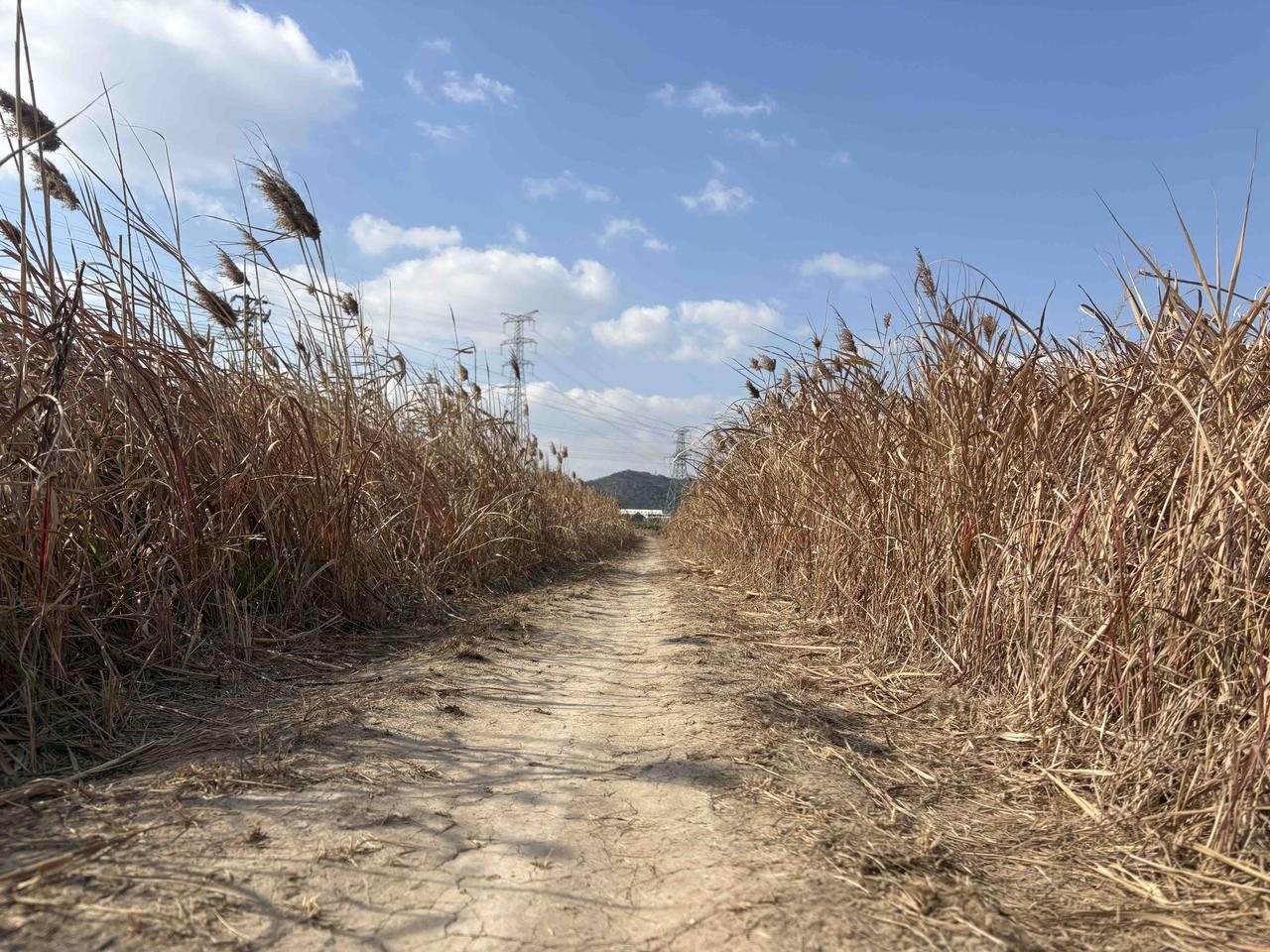 结合这两天的这个市场信息，我谈一下今天股市开盘的注意事项，以及投资方向。

今日