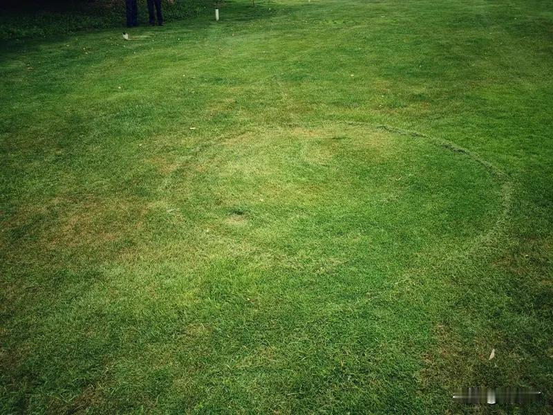 圈子越小，幸福越满
年纪越大越明白，圈子不用太大，舒服就好；
朋友不用太多，真心