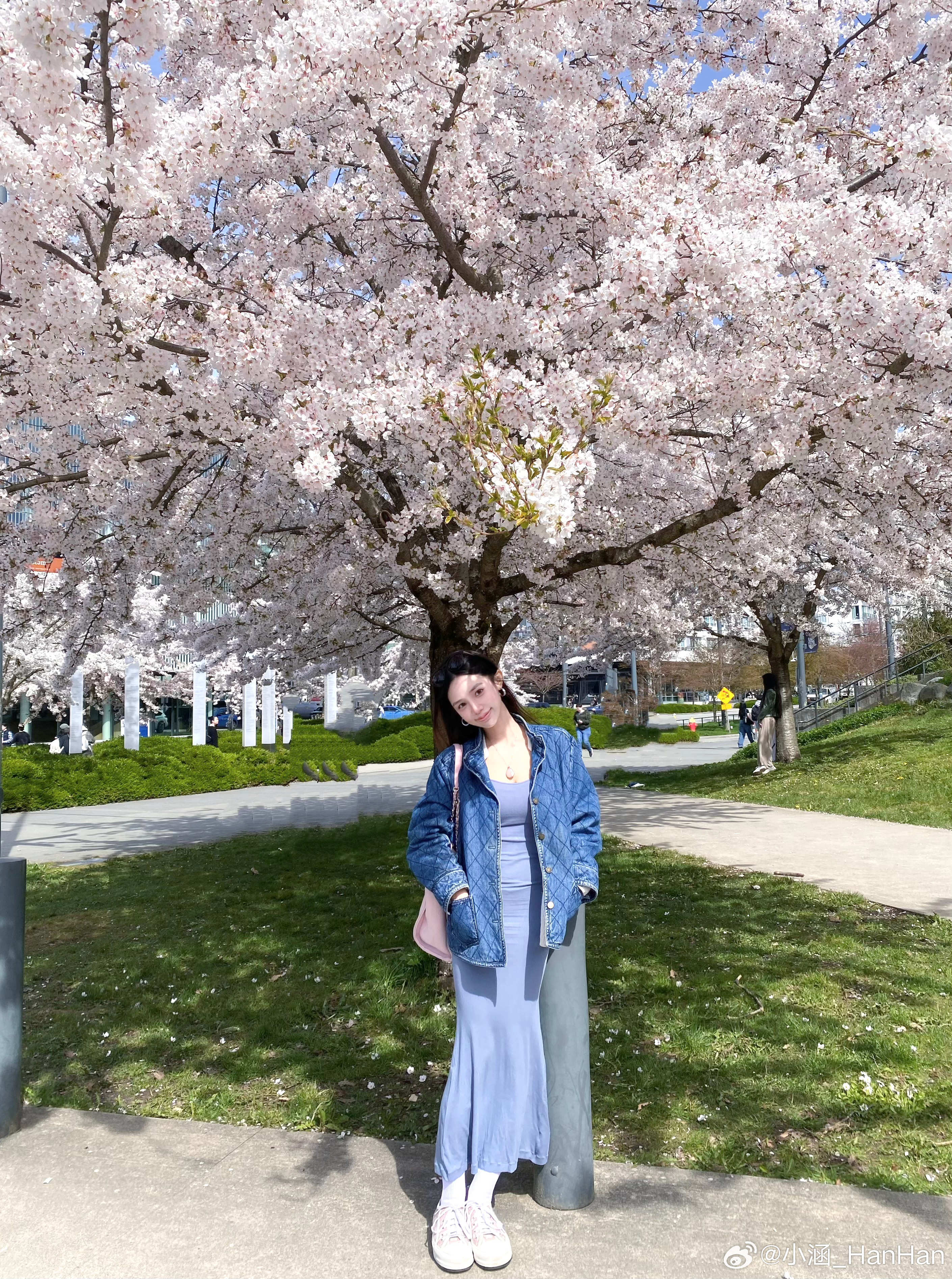 粉色泡泡的春天🫧🌸🩷 ​​​