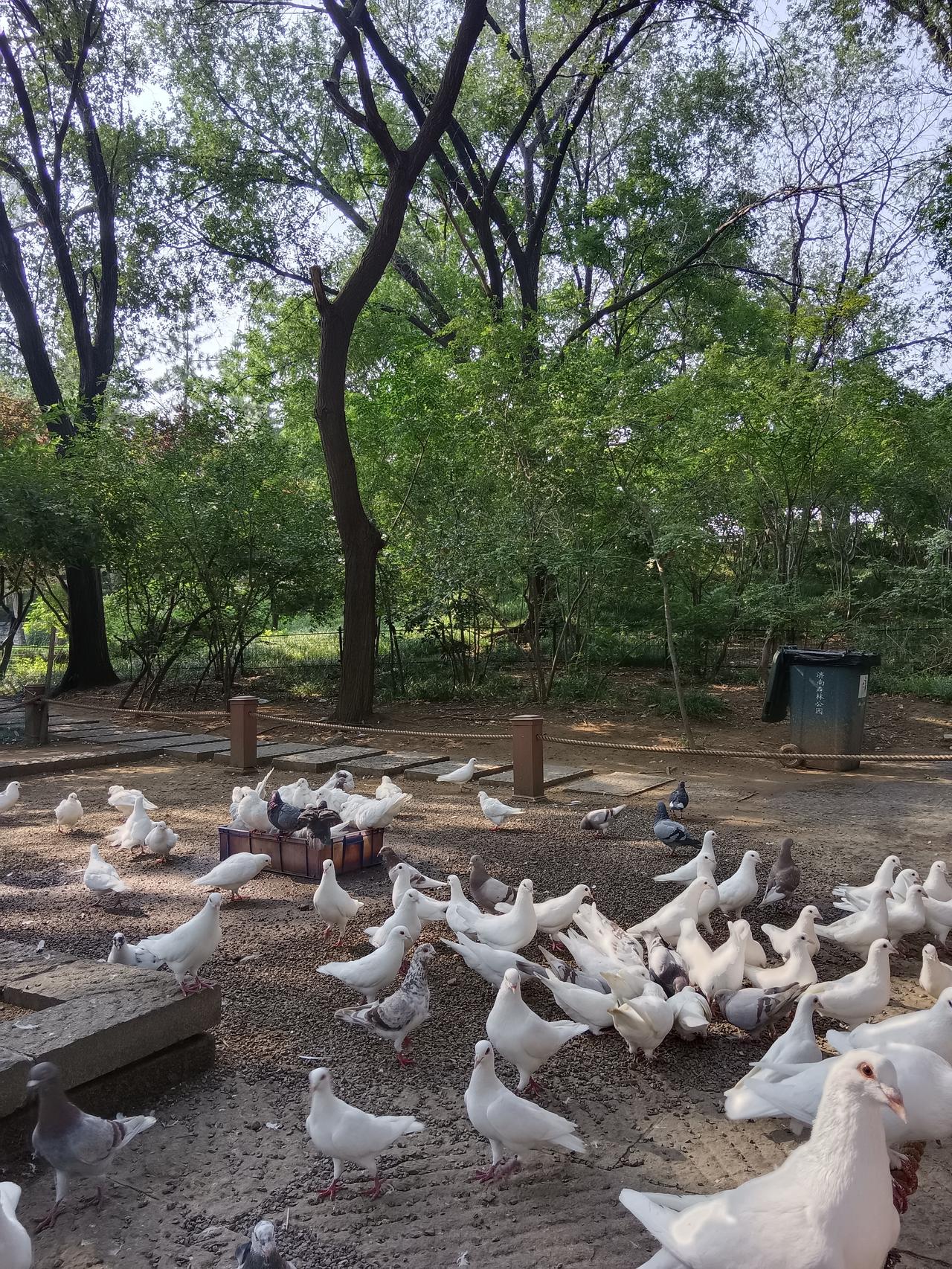 只要不生病比啥都强你认同吗认同。健康是1，其他都是后面的0。没有健康，财富、成就