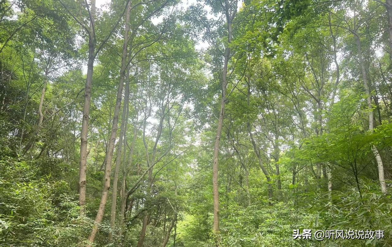 ❤️真正对你好的人，是不会因为你维护自己而远离你的。他会理解你的立场，尊重你的边