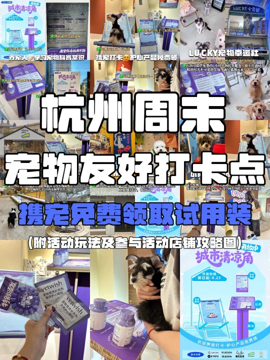 杭州养宠人‼️周末5个宠物友好打卡点攻略