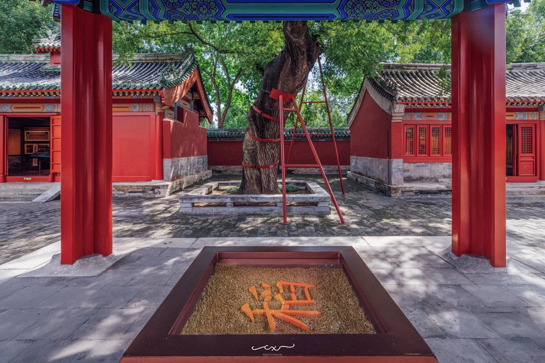 蓝天铺满先农坛，白云轻绕古建檐。📍北京古代建築博物館📸 2026-08-17