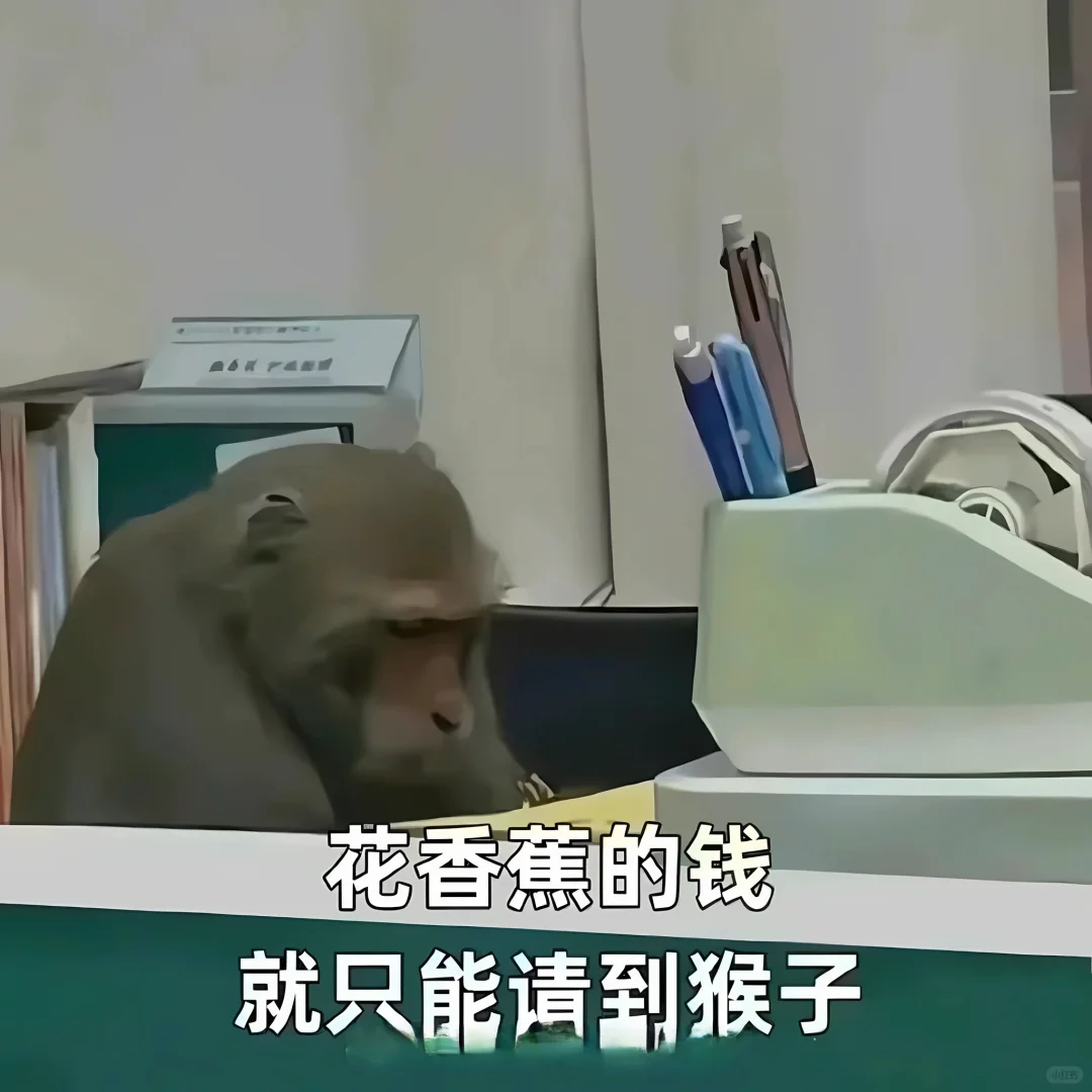最近的生活动态