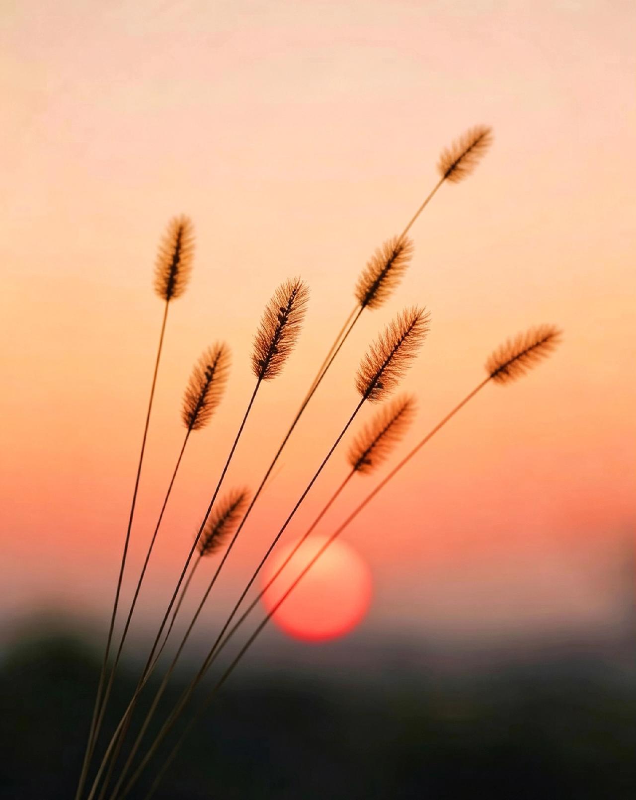 太扎心了！
很多踏实、专一、有责任心的好男人，不撩骚、不套路、真心待人，却总是单