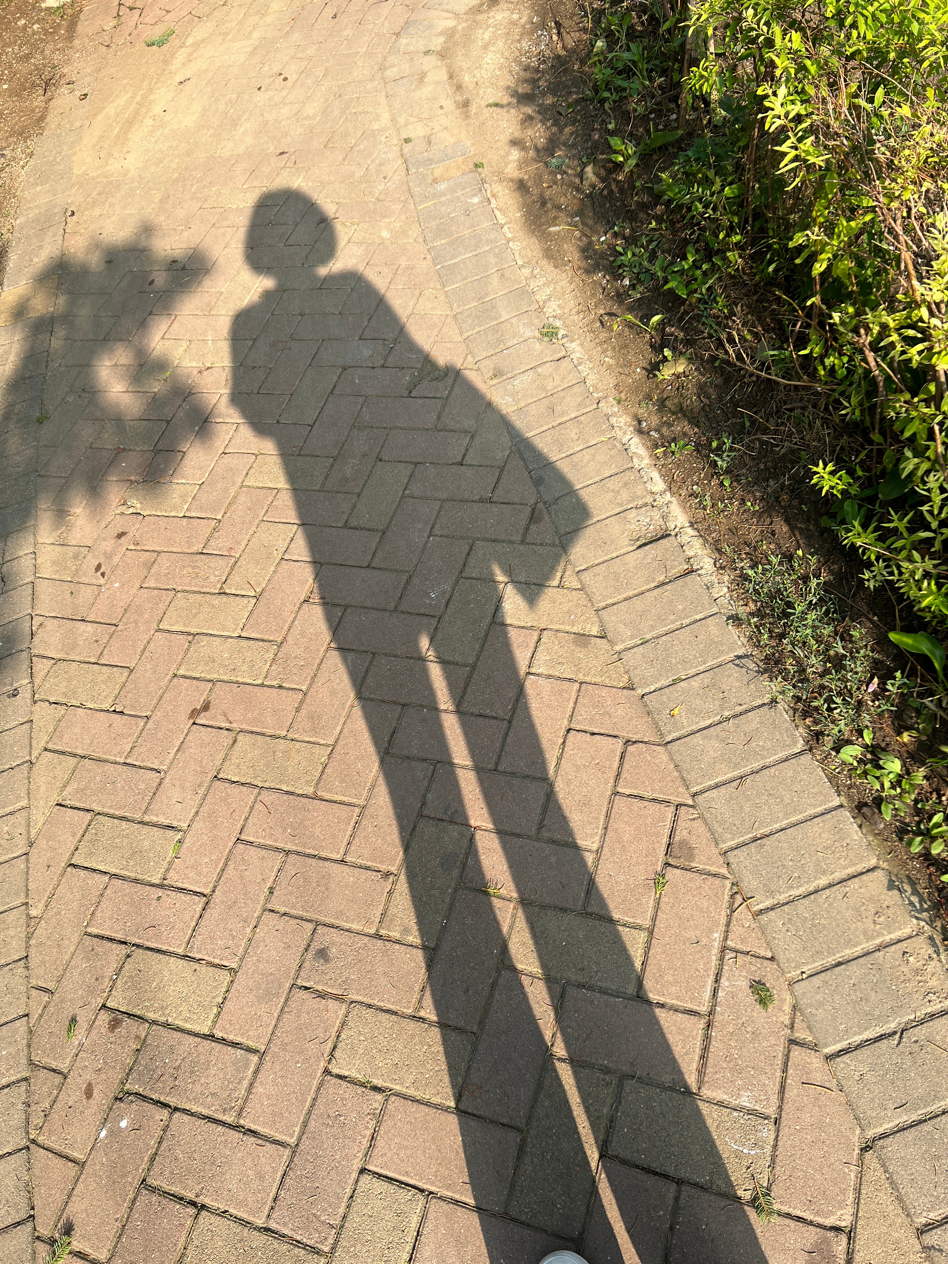 今早起来有一点小伤心，因为不能去见你，反反复复看了好多次…… 