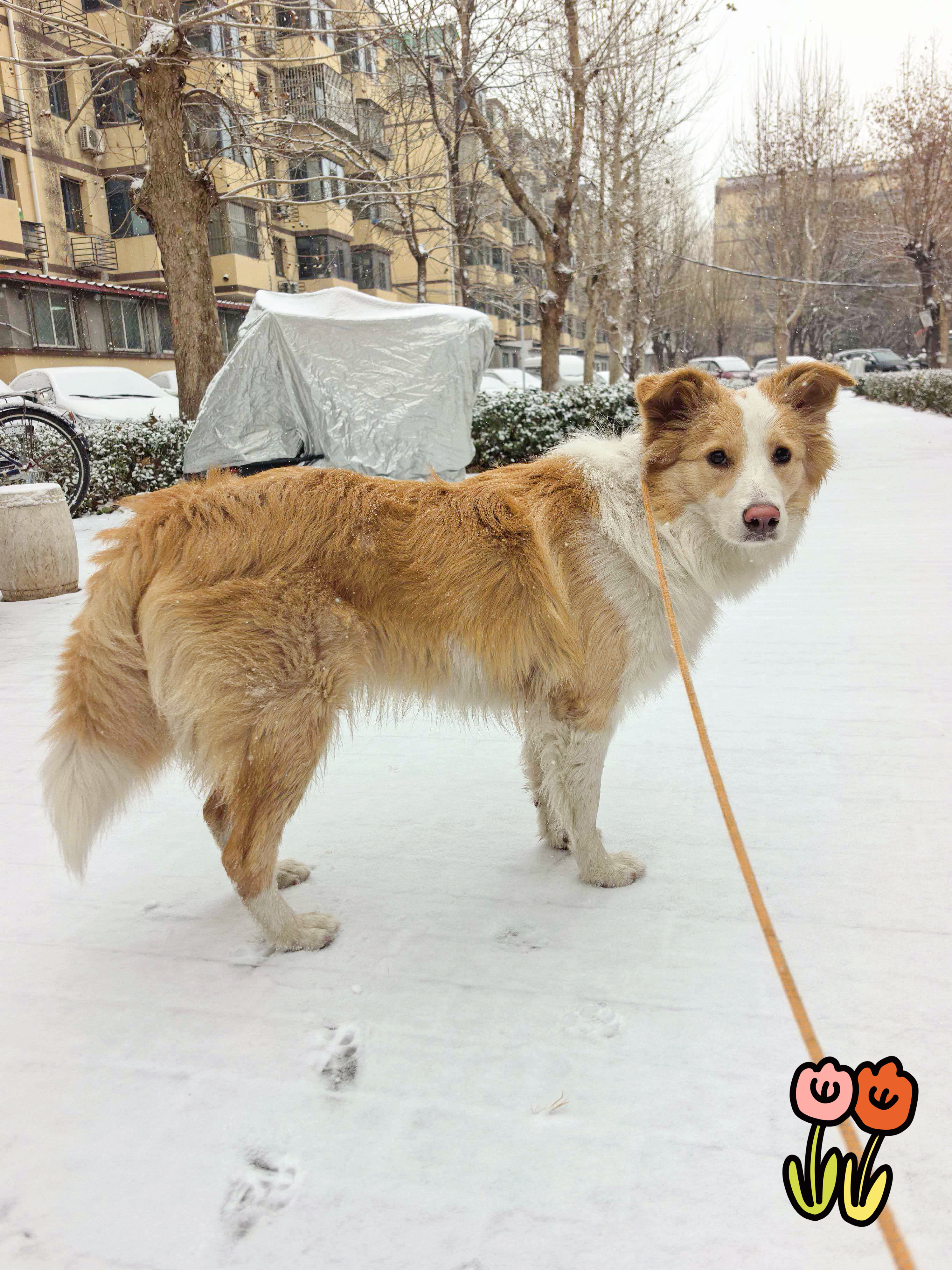 北京暴雪好吧 暴雪啦啦啦啦 