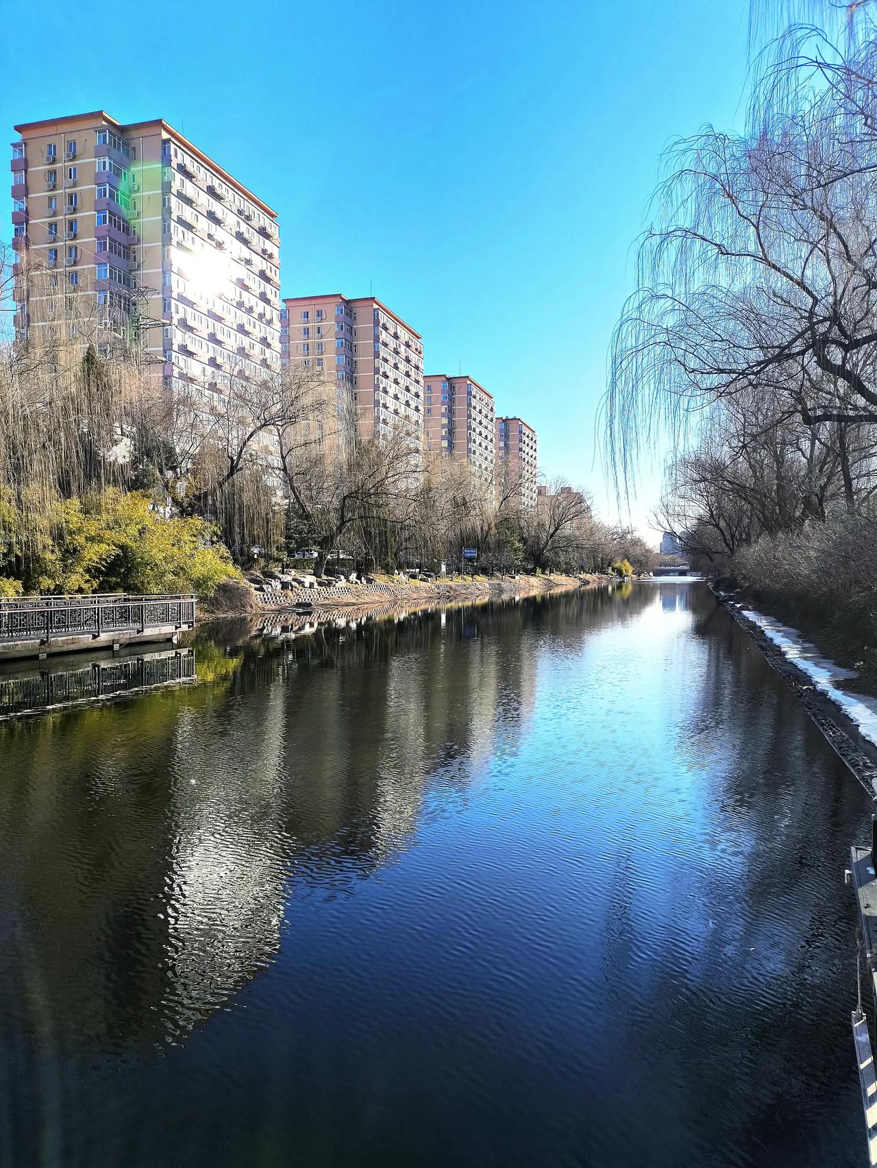 经过五六天的寒流摧残，夜间最低气温曾经到了零下13度的寒冷，但护城河水清又清，依