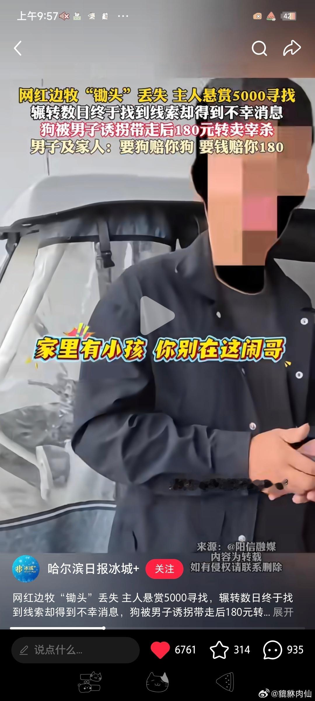 这个“偷狗贼”还真是搞笑！自己可以偷窃，除了边牧、视频里的金毛也是偷的，惯犯！可