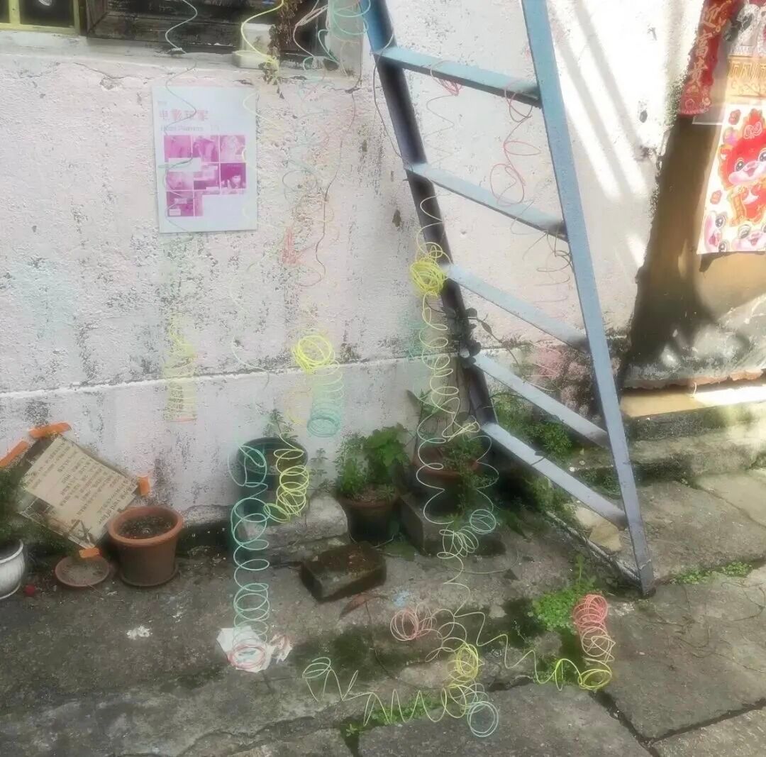 𝐒𝐇𝐀𝐑𝐄 / 高级感满满背景图🦋 
