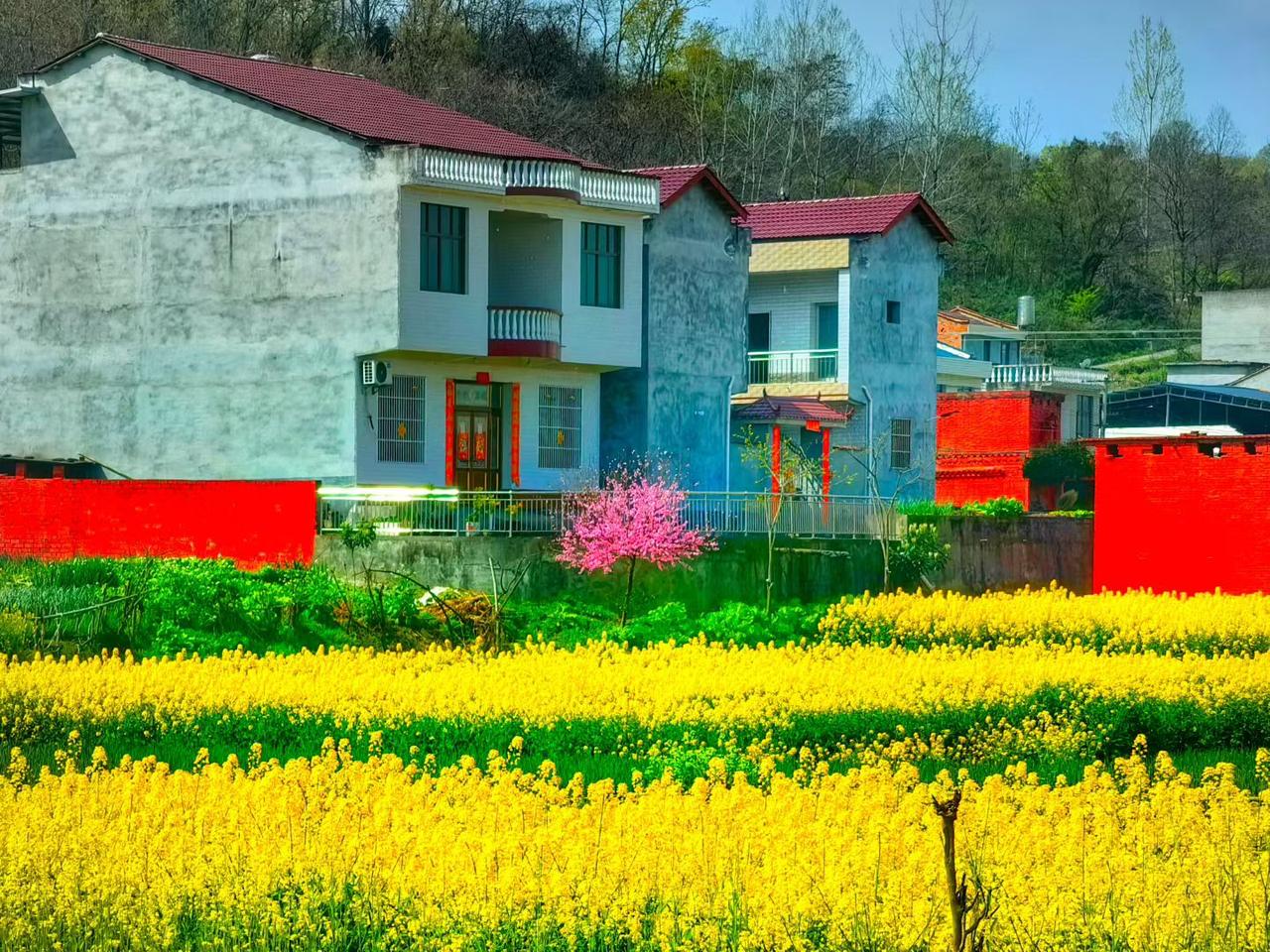 向外寻找，你只会找到更多的欲望。向内观看，你才会发现真正的宝藏。所有的答案，一直