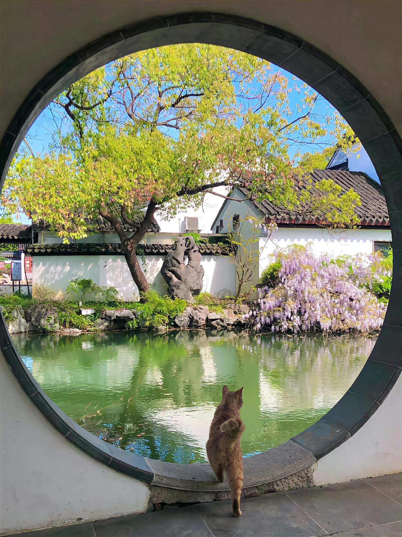 位置不同,少言为贵,认知不同,不必争辩,三观不合,浪费口舌。 #江南水乡美如画 