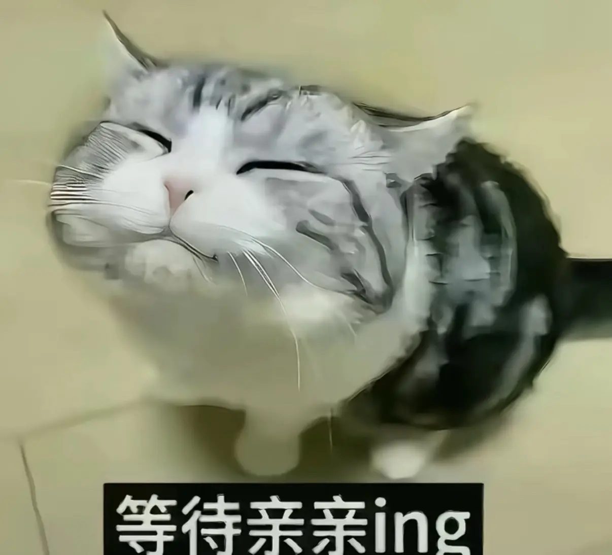 等待亲亲ing.
