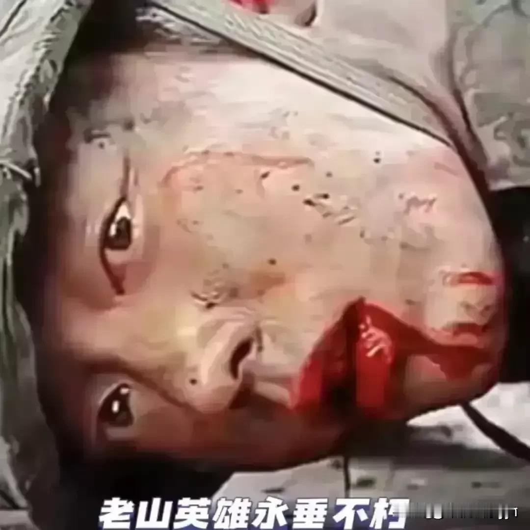 朋友，您可以不点赞但不能不致敬，正是有了无数个先烈们，才换来我们现在的幸福生活，