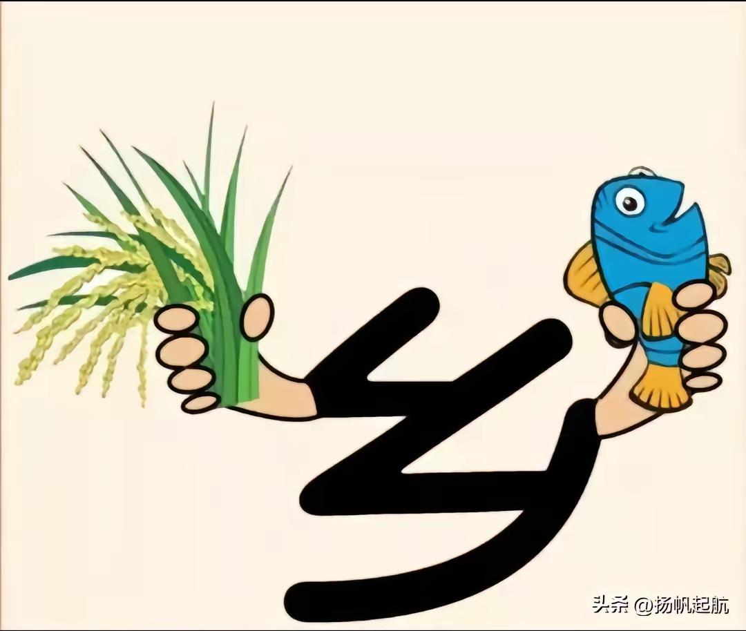 有稻谷，
有鱼儿
有乡
即鱼米之乡