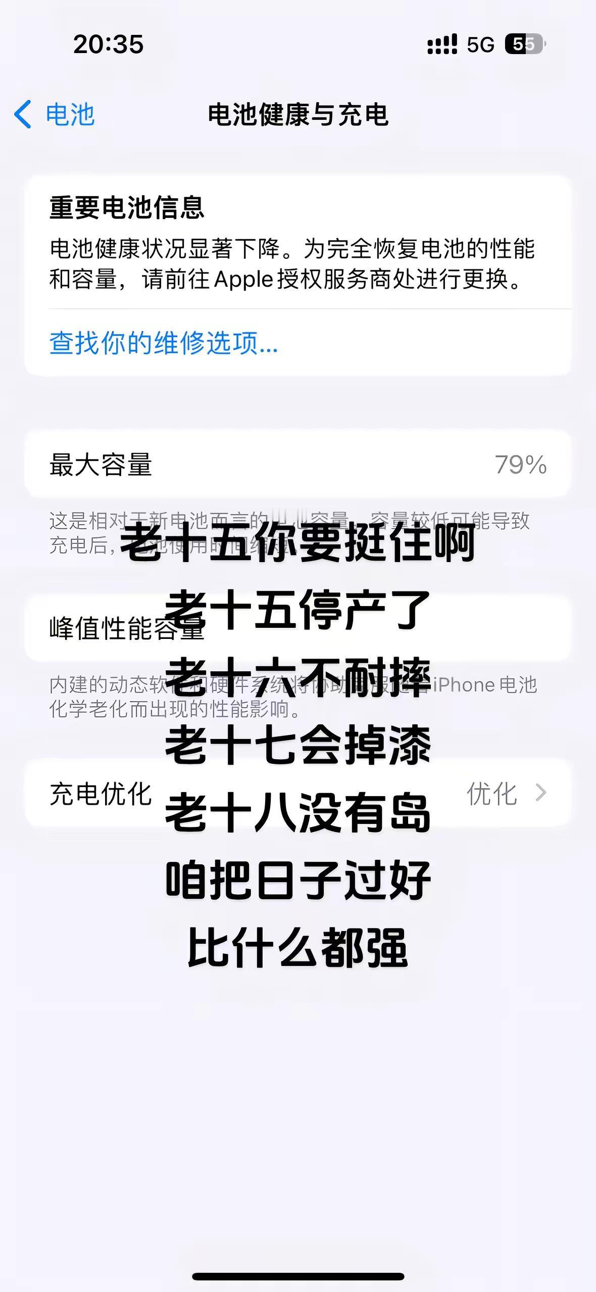 老十五你可得给咱争口气啊 让我看看你们的电池寿命内存也严重不足😵‍💫苹果手机
