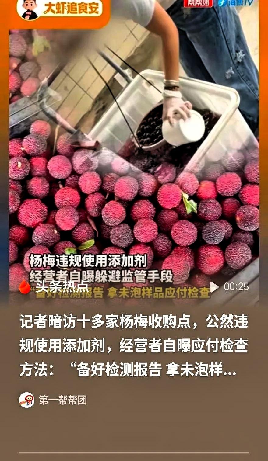 福建漳州那个杨梅收购点，最让人后背发凉的，不是角落里那桶浑浊的“药水”，而是现场