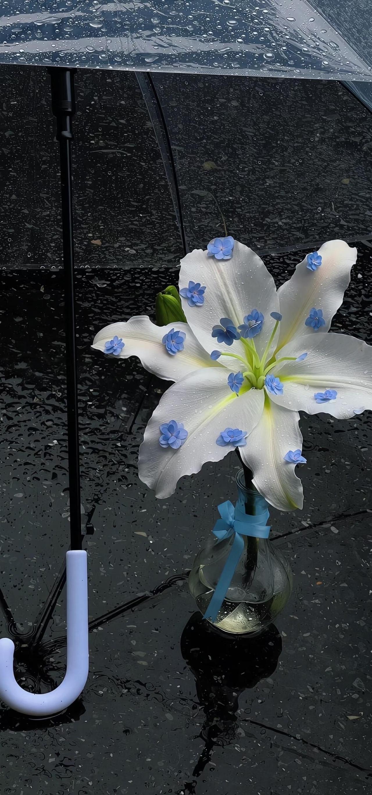 iPhone专属高清3D景深壁纸来咯🌧️
P3图源@艾斯特 Noctil
🫨