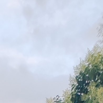 阳光信用 💜阳光信用💜每日一善生活从来没有捷径，别人为了梦想默默耕耘，只是你