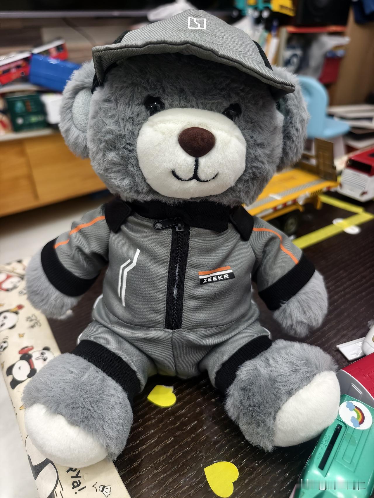 感谢极氪的小熊