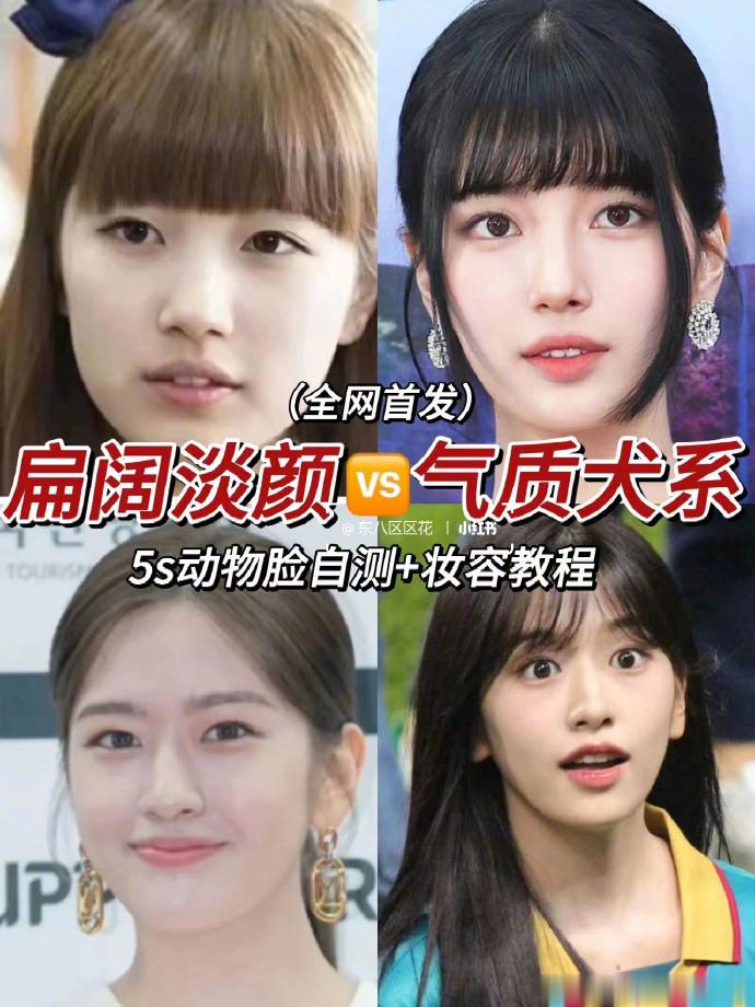 淡颜阔面扁平脸｜裴秀智安宥真犬系攻略 ​​​