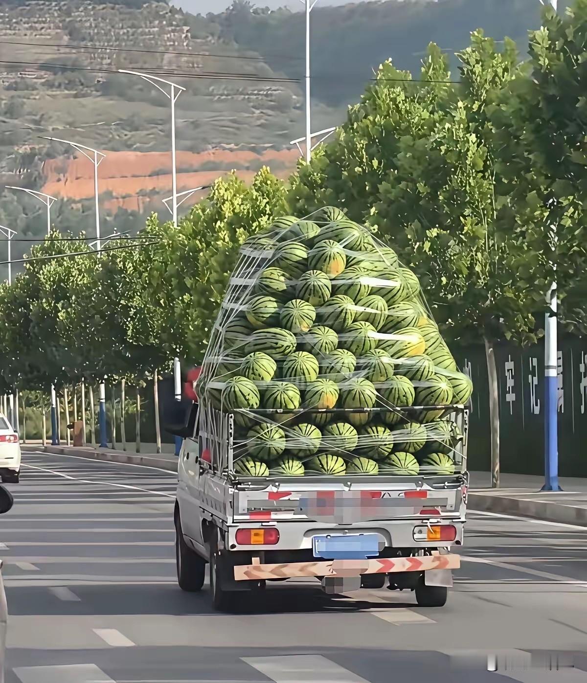 有没有懂的啊，这一大车西瓜算不算超载？