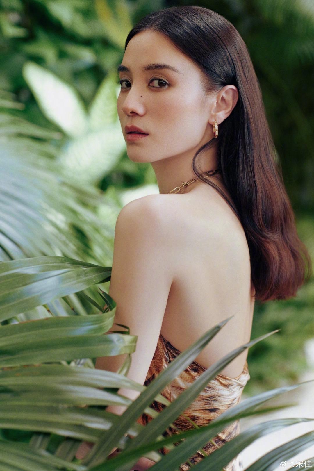宋佳。