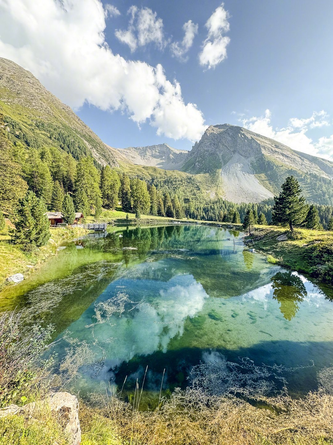 【这里是奥地利】在令人心驰神往的齐勒河谷（Zillertal）骑行，迎面的风，路