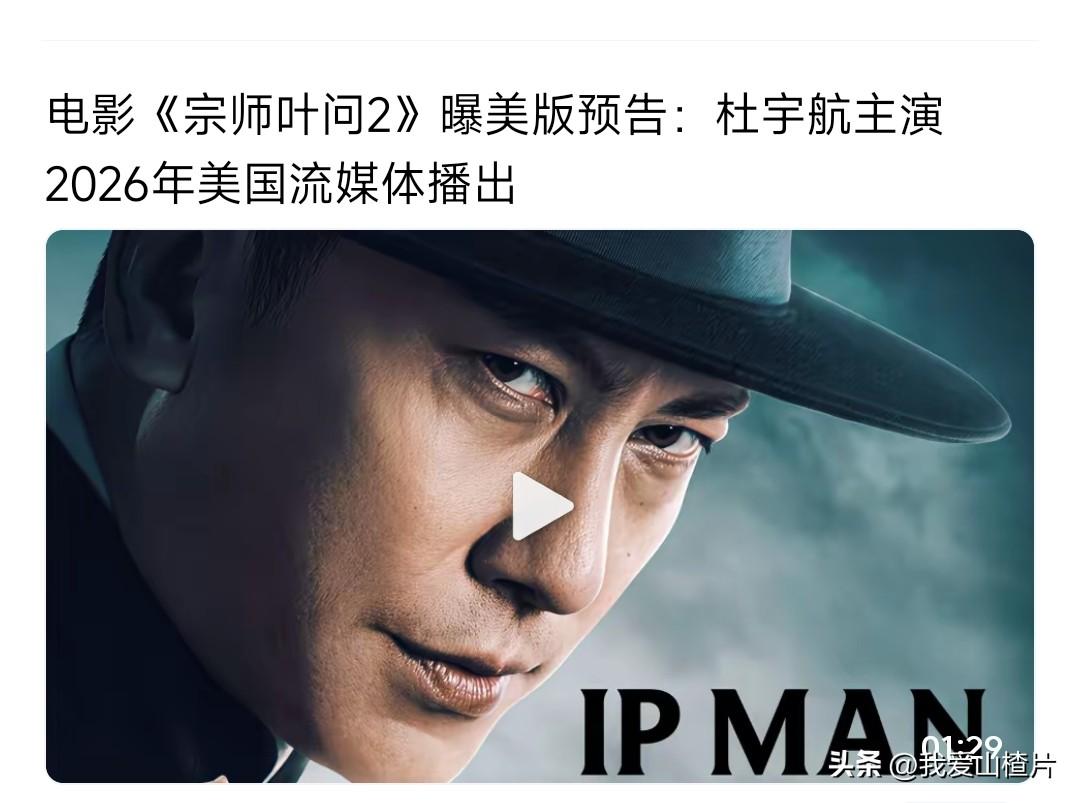 第一眼看到电影《宗师叶问2》
我还以为是甄子丹出演
打开一看是杜宇航
没听过这个