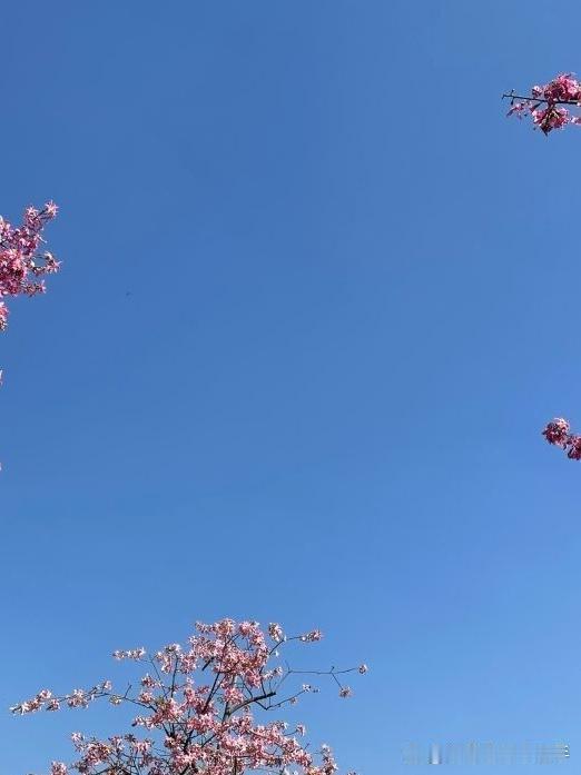 穿越时空的禅意之旅｜南山古庙漫游指南

偶然发现的宝藏景点！藏在闹市中的千年古庙