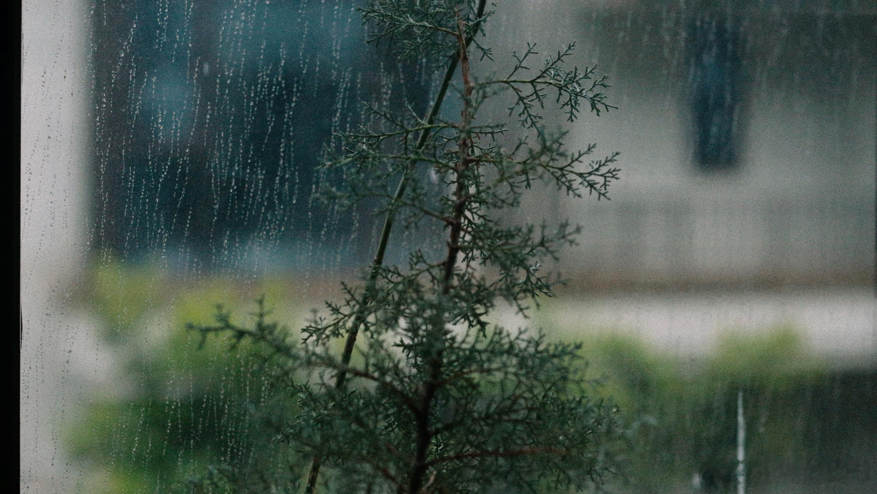 梅雨天🌧️ 