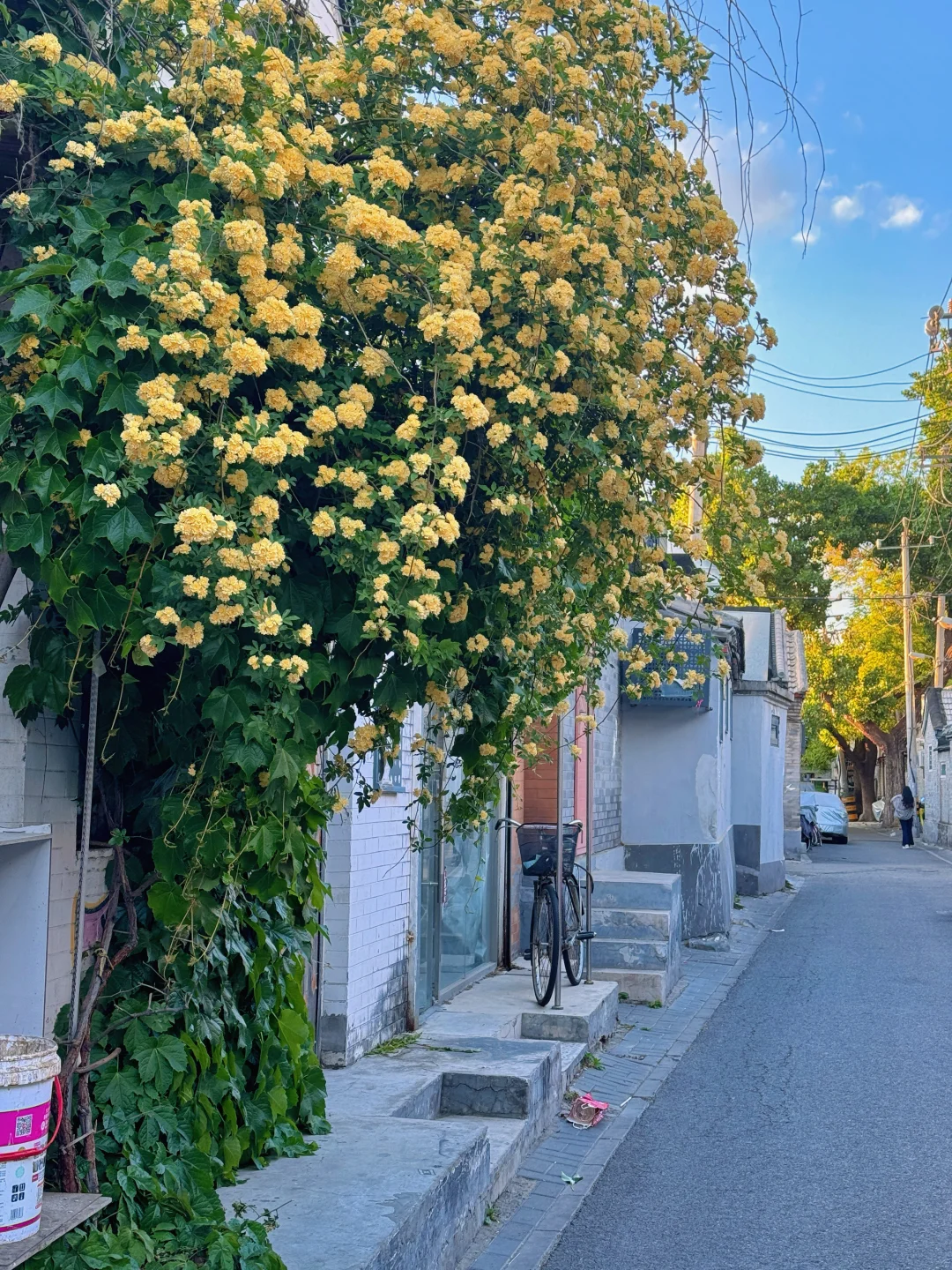 五一来北京 | 强推这条citywalk路线❗附地图