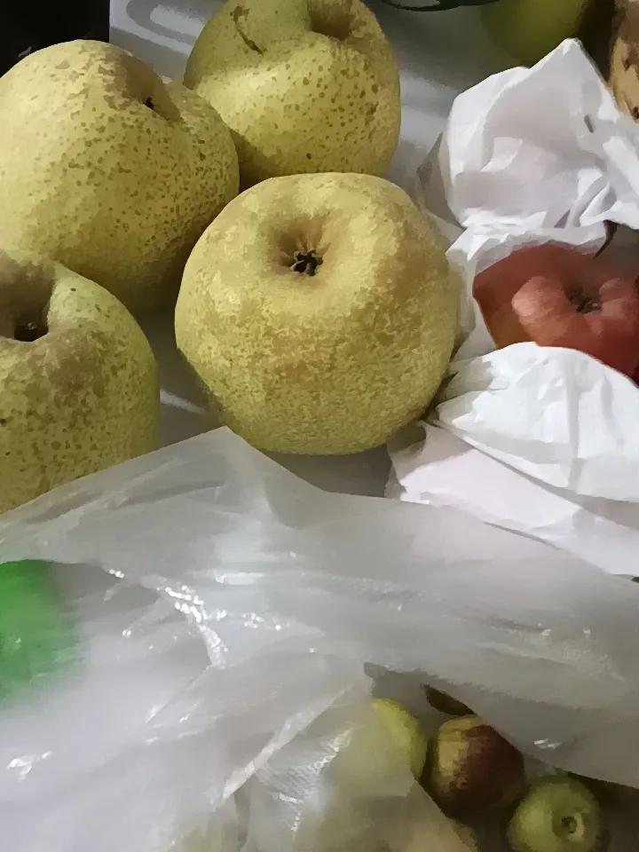 夏天吃什么水果最哇塞？夏天最喜欢吃西瓜，酸酸甜甜的葡萄也很喜欢吃！
