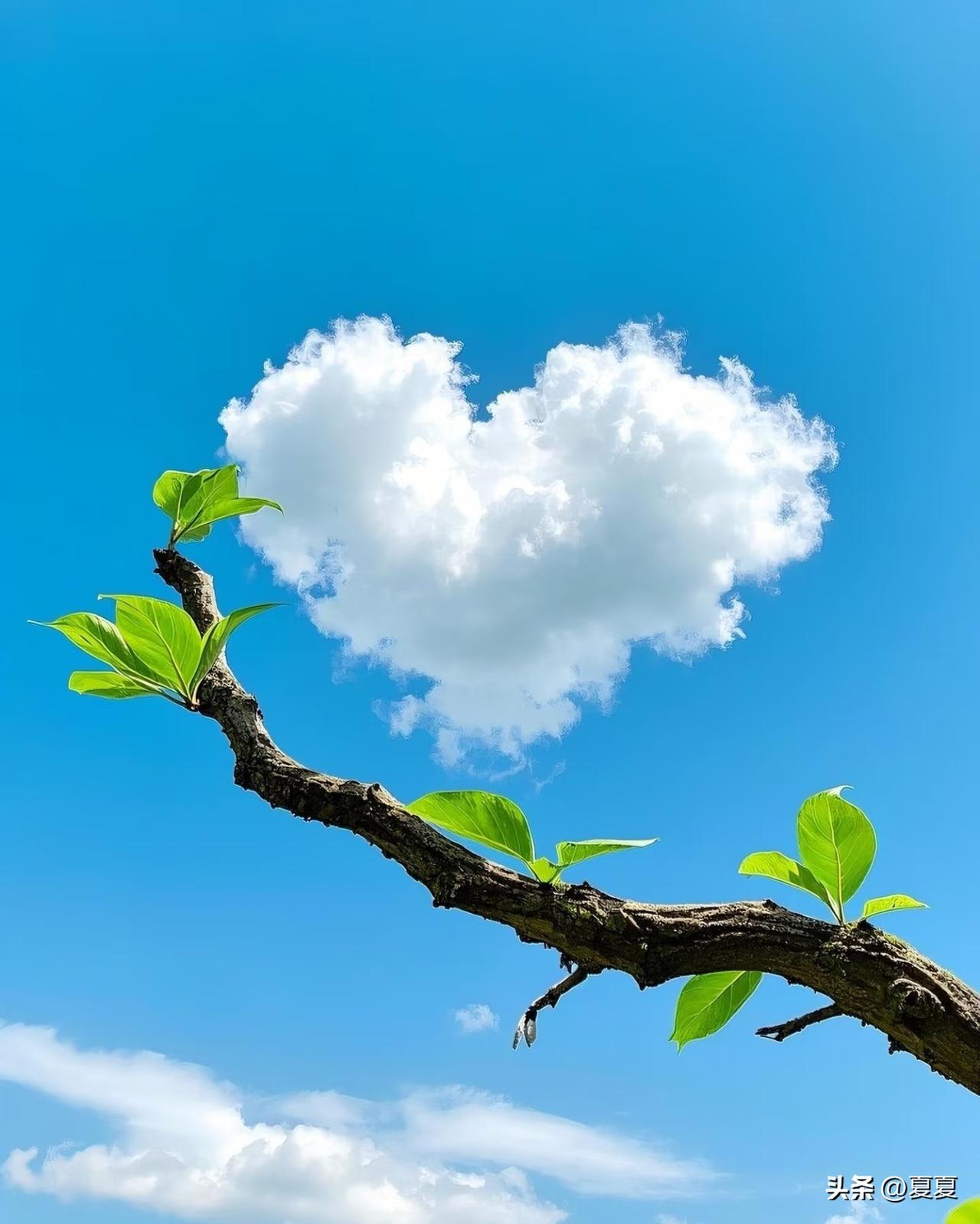 为啥越穷的家运气越差一家子张嘴抬杠 闭嘴抱怨
屁大点事儿就炸毛 
沟通难上天 办